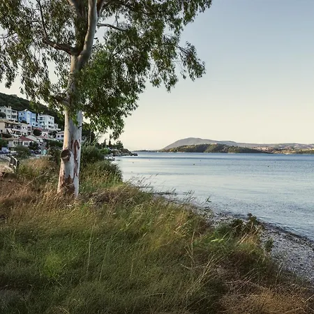 Aqua Lora * ניקיאנה